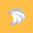 Amber Falcon Games